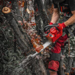 Milwaukee M18FTHCHS35-802 M18 Fuel 18V Chainsaw 35cm Bar with 2 x 8.0Ah Batteries & Charger 4933479991 - Image 10