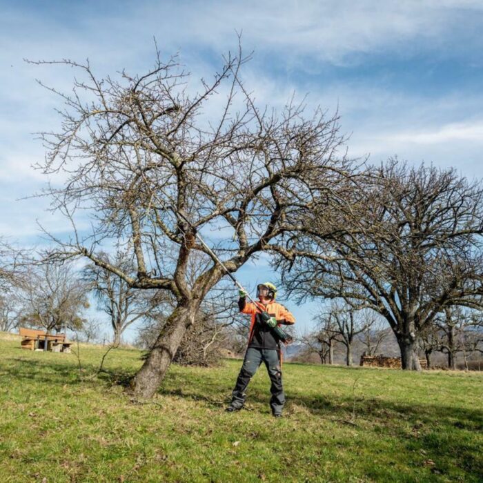 Metabo MA-MS 25 Multi Tool Pole Pruner Attachment Body Only 601727850 - Image 6