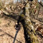 Metabo MA-MS 25 Multi Tool Pole Pruner Attachment Body Only 601727850 - Image 3