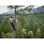 Milwaukee 2826-21T M18 FUEL 14" Top Handle Chainsaw Kit - Image 9