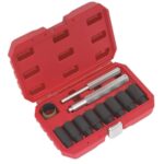 Sealey SX272 Locking Wheel Nut Removal Set 10 Piece