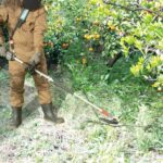 Makita 1912T0-4 Split Shaft Ground Trimmer Attachment Set EM422MP - Image 3