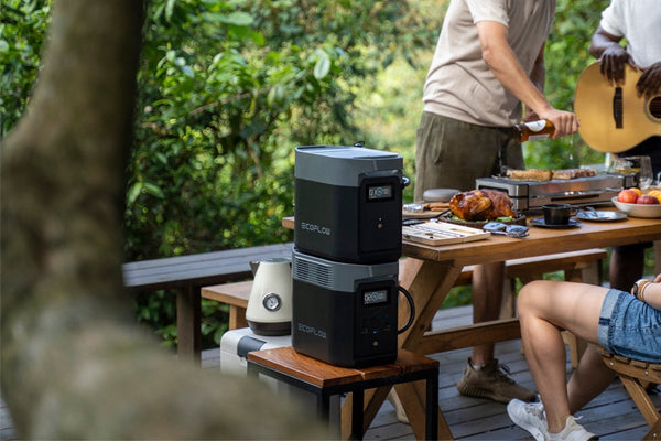 EcoFlow DELTA 2 Max + DELTA 2 Max Smart Extra Battery - D2M-US-EB